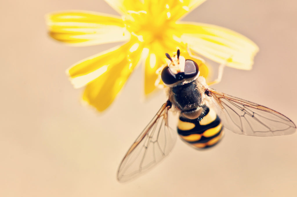 Best Company Features Judy Gaman, Executive Medicine of Texas CEO, And Other Experts To Help You Spring Clean Your Health